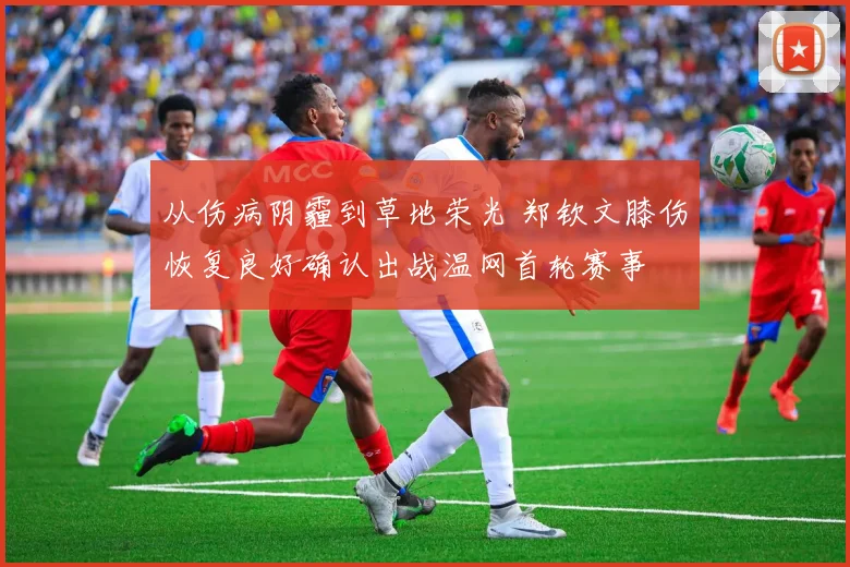 从伤病阴霾到草地荣光 郑钦文膝伤恢复良好确认出战温网首轮赛事